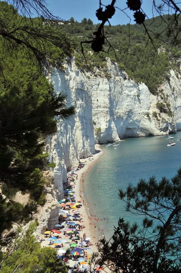 4 Hotel Family Friendly vicino Baia di Campi a Vieste