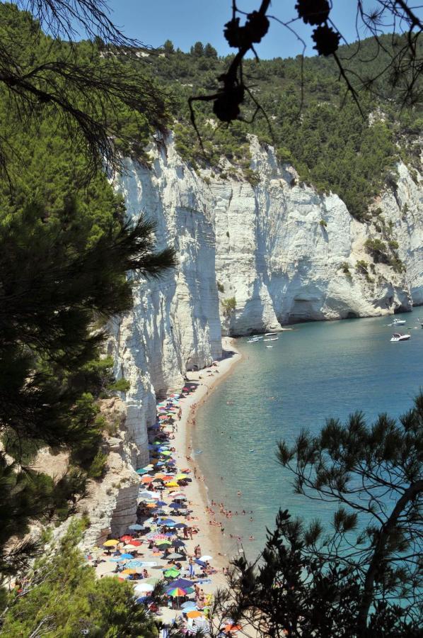4 Hotel Family Friendly vicino Baia di Campi a Vieste